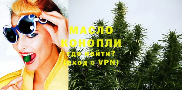 индика Болотное