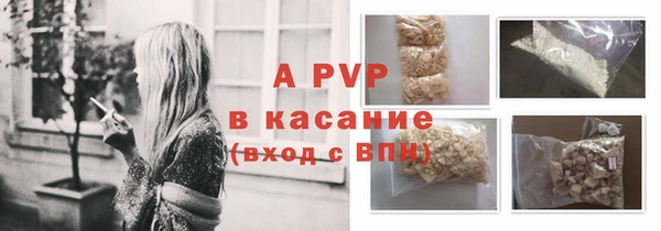 индика Болотное