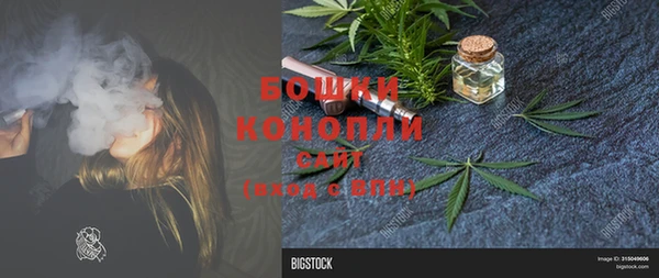 ПСИЛОЦИБИНОВЫЕ ГРИБЫ Мегион