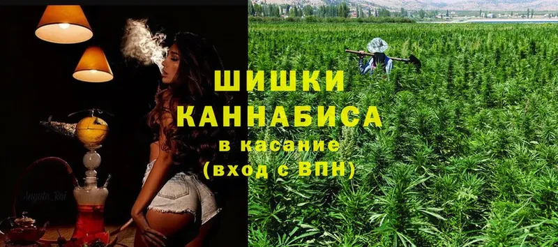 Канабис OG Kush  Зуевка 